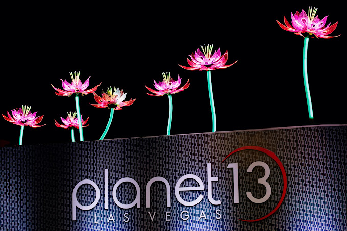 Planet 13